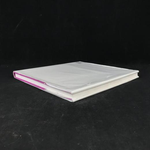 毕加索画集 48幅彩色插图 精装大16开 商品图2