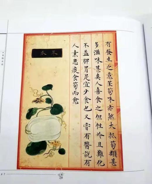 食物本草 商品图9