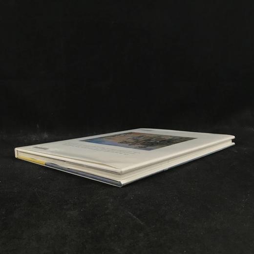 毕加索画集 100幅彩色插图 精装大16开 商品图2