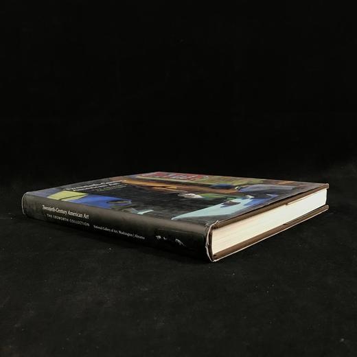二十世纪美国艺术图集 186幅插图（88幅彩色） 精装大16开 商品图1