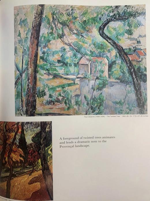 印象派画集 364幅彩色与132幅黑白插图 精装大16开 商品图12