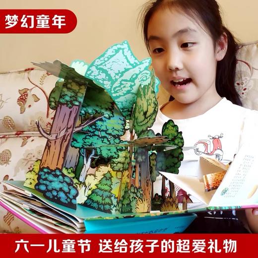 【积分兑换】乐乐趣《爱丽丝漫游仙境》国际珍藏版儿童立体书中文纪念版绘本阅读送礼礼物 商品图4