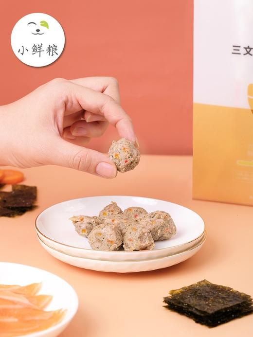小鲜粮 狗狗鲜粮700g （100g*7包） 商品图2