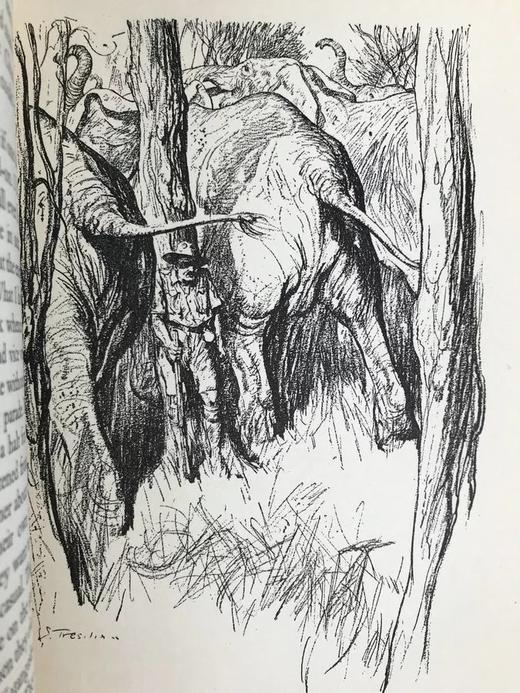 非洲大象 12幅插图 漆布精装大32开 商品图7