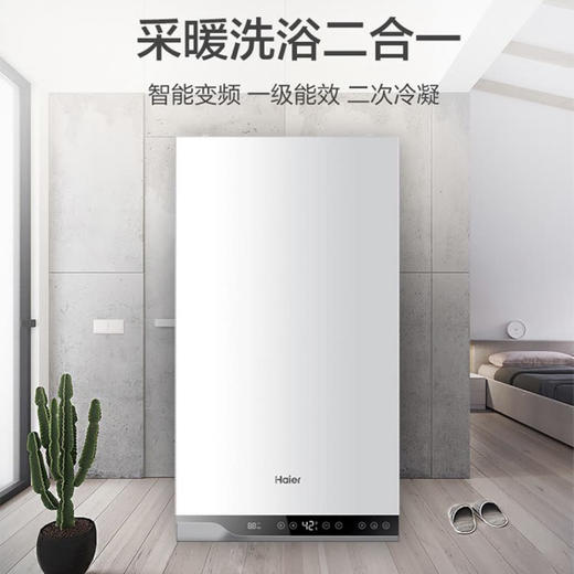 海尔（Haier）壁挂炉LL1PBD20-HN1冷凝式 商品图0