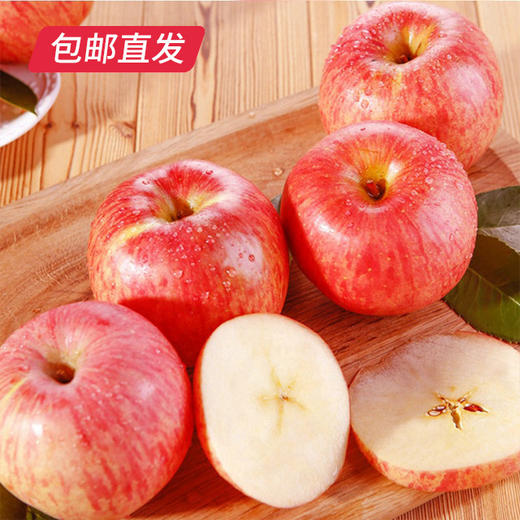 【洛川苹果】24枚装 约10斤（75mm）（产地直发） 商品图2