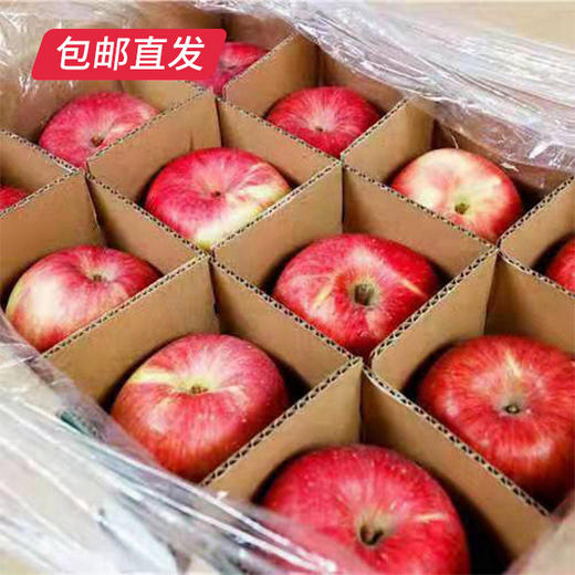 【洛川苹果】24枚装 约10斤（75mm）（产地直发） 商品图6