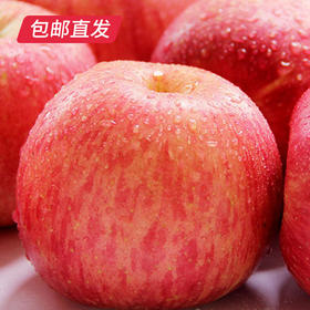 【洛川苹果】24枚装 约10斤（75mm）（产地直发）