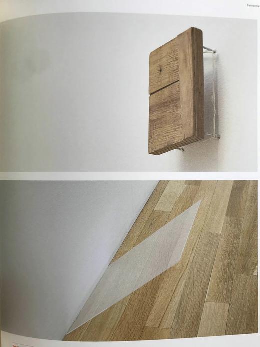 巴西当代艺术图集 约200幅插图 精装大16开 商品图7