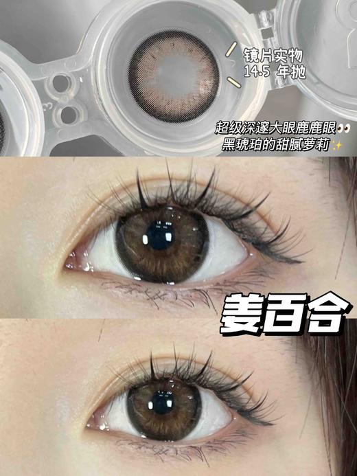 年抛 LEGAL LOLI  姜百合14.5 着色13.8 商品图1