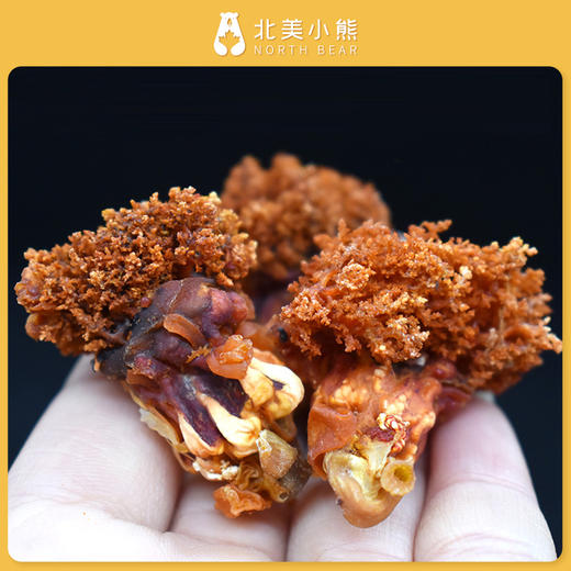 加拿大北极海参花1磅装#宁波仓 商品图2