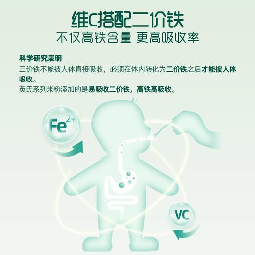 英氏原味纯营养米粉罐装258g 商品图3