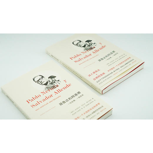 聂鲁达和阿连德：一份友情，一段历史 商品图3