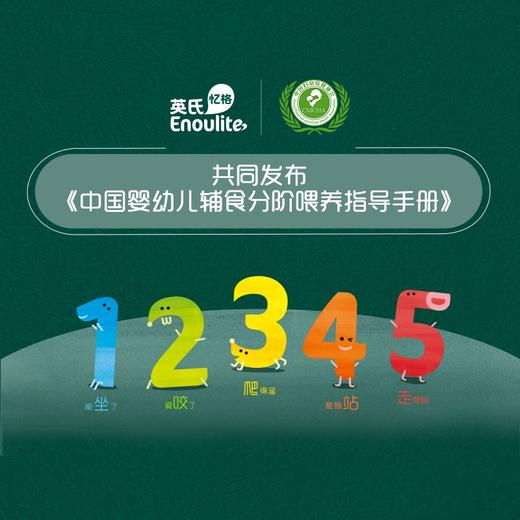 英氏原味纯营养米粉罐装258g 商品图6