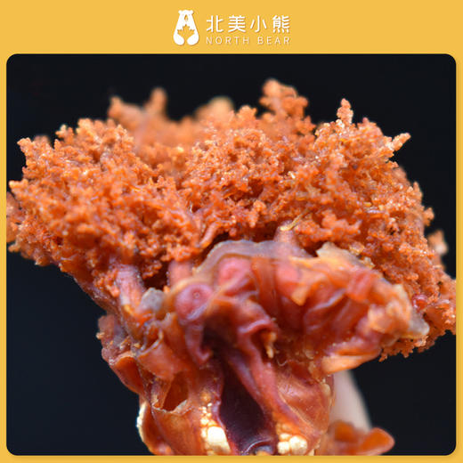 加拿大北极海参花1磅装#宁波仓 商品图5