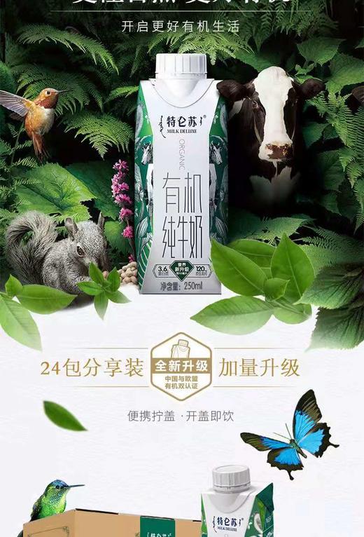 特仑苏有机纯牛奶250ml*10一件 商品图3