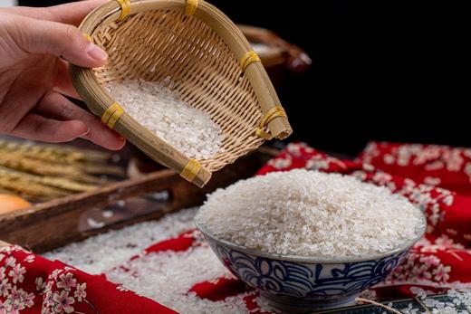 稻花香|五常大米 东北大米（自然香甜 颗粒饱满 高品质大米） 商品图2