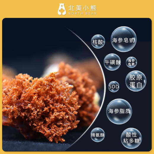 加拿大北极海参花1磅装#宁波仓 商品图3
