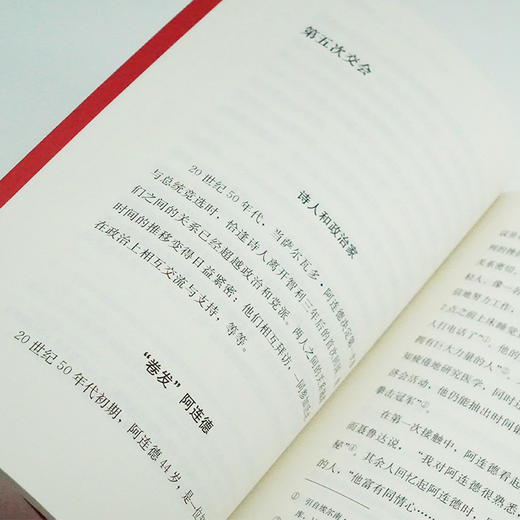 聂鲁达和阿连德：一份友情，一段历史 商品图5