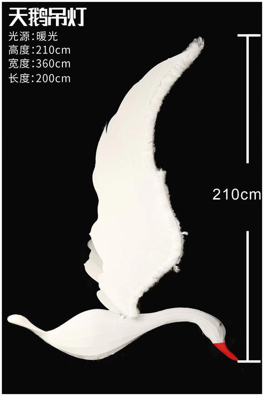 天鹅【运费自理】 商品图0