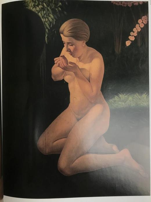 装饰艺术绘画图集 约百余幅彩色插图 精装大16开 商品图7