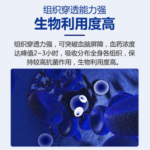 【巨安康-水溶】巨龙动保水溶复方磺胺间甲氧嘧啶100g/500g 商品图2