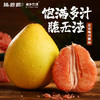 臻碧乡x梅州大埔红肉蜜柚丨生态养殖(合作果园) Red Flesh Pomelo 商品缩略图0