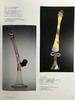 当代之声：海因曼玻璃藏品图集 200余幅彩色插图 精装大16开 商品缩略图8