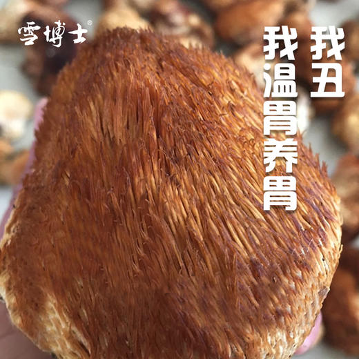 有机猴头菇70克天然养胃 煲汤专用 商品图3