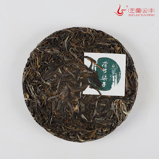 芝兰云丰·滑竹梁子，普洱生茶，花香与山野韵混揉，口感独特，闭眼入 商品图1