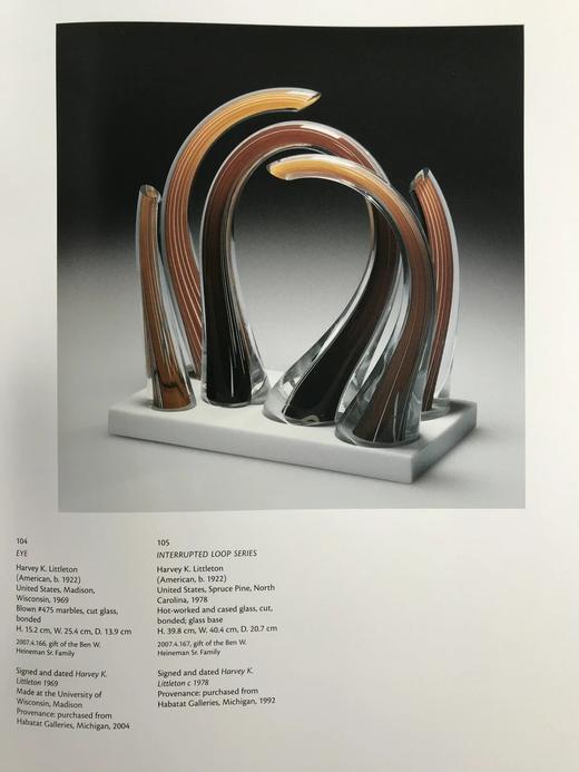 当代之声：海因曼玻璃藏品图集 200余幅彩色插图 精装大16开 商品图11