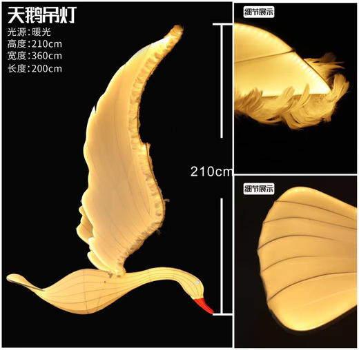 天鹅【运费自理】 商品图3