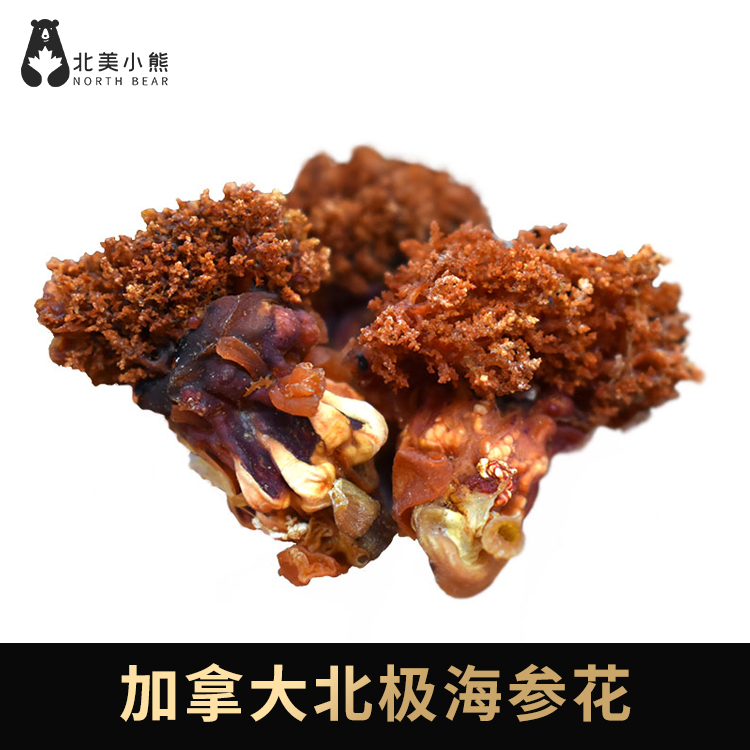 加拿大北极海参花1磅装#宁波仓