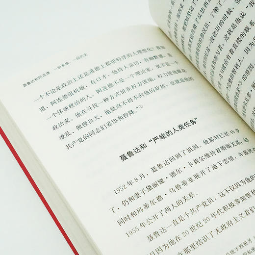 聂鲁达和阿连德：一份友情，一段历史 商品图4