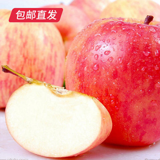 【洛川苹果】24枚装 约10斤（75mm）（产地直发） 商品图4