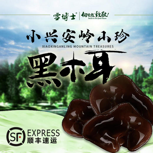 有机黑木耳100克 小兴安岭黑木耳 商品图0