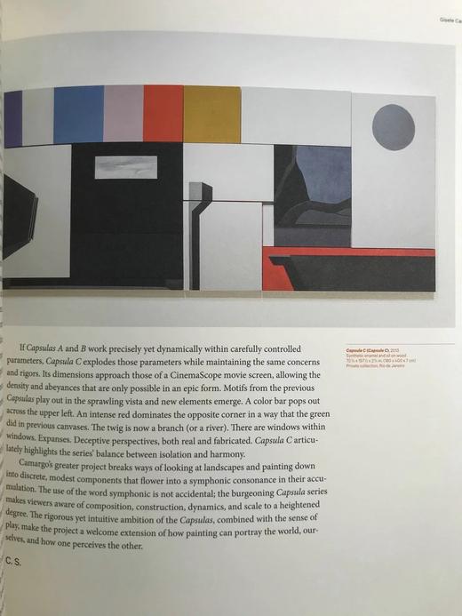 巴西当代艺术图集 约200幅插图 精装大16开 商品图13