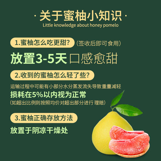 臻碧乡x梅州大埔红肉蜜柚丨生态养殖(合作果园) Red Flesh Pomelo 商品图1