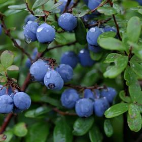  从现在开始，你的眼睛由我来守护！ 