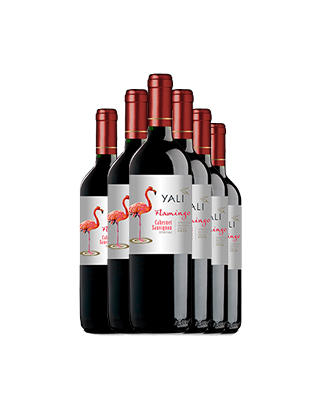 佳沃醇美汇火烈鸟赤霞珠干红 750ML*6 商品图1