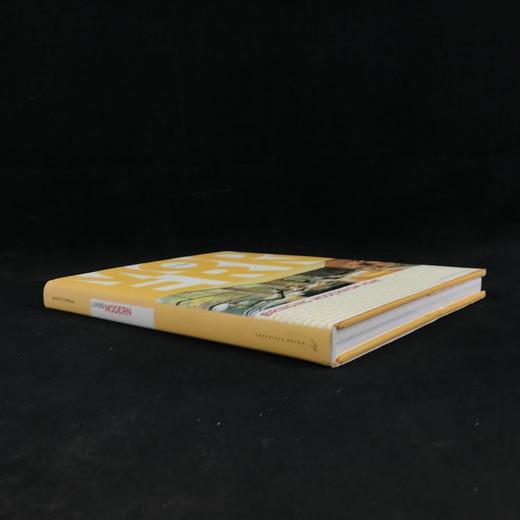 现代主义房屋图集 数百幅插图 精装大16开 商品图1