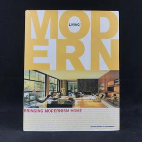 现代主义房屋图集 数百幅插图 精装大16开