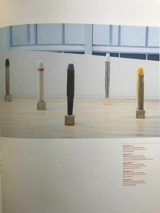 巴西当代艺术图集 约200幅插图 精装大16开 商品图10