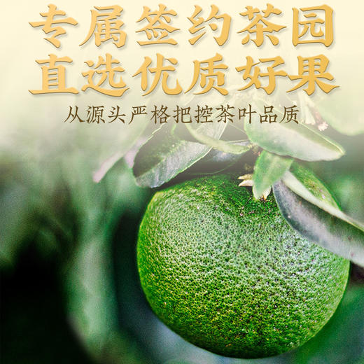 小青柑礼盒250g 正宗生晒云南宫廷熟普熟茶 小青桔陈皮柑普茶 商品图5