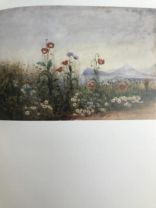 英国与爱尔兰素描与水彩画图集 91幅彩色插图 平装大16开 商品图7