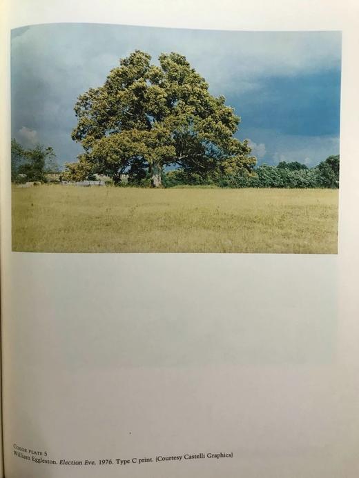 摄影作品收藏者指南 数百幅插图 精装16开 商品图9