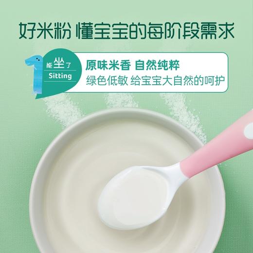 英氏原味纯营养米粉罐装258g 商品图4