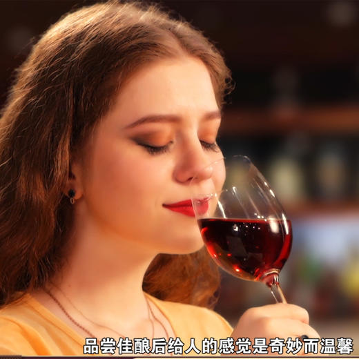 【一箱750ml*6瓶】波仕多干红 法国酒庄进口红酒 商品图4