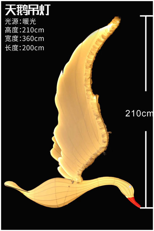 天鹅【运费自理】 商品图2