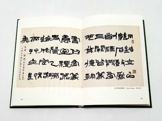 《中国书法》，精装，陆维钊著，浙江古籍出版社2021年版 商品图12